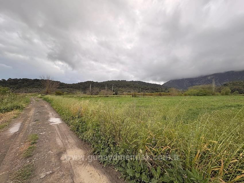 7.088 M² Großes Gemeinschaftsgrundstück Zum Verkauf Im Stadtteil Mergenli, Ortaca, Muğla.