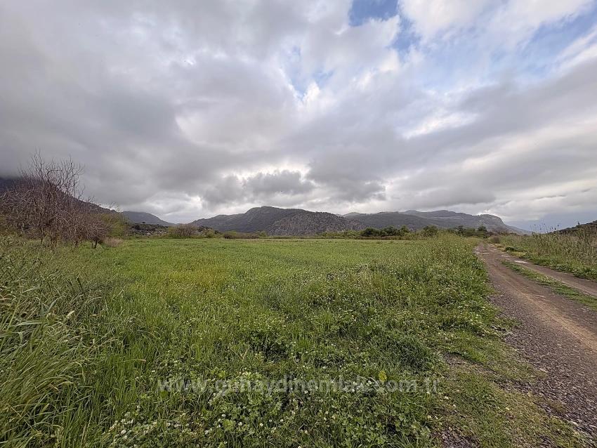 Feld Zu verkaufen in Mergenli Bz. Ortaca - Feld-Zonierung - 7.088 m²