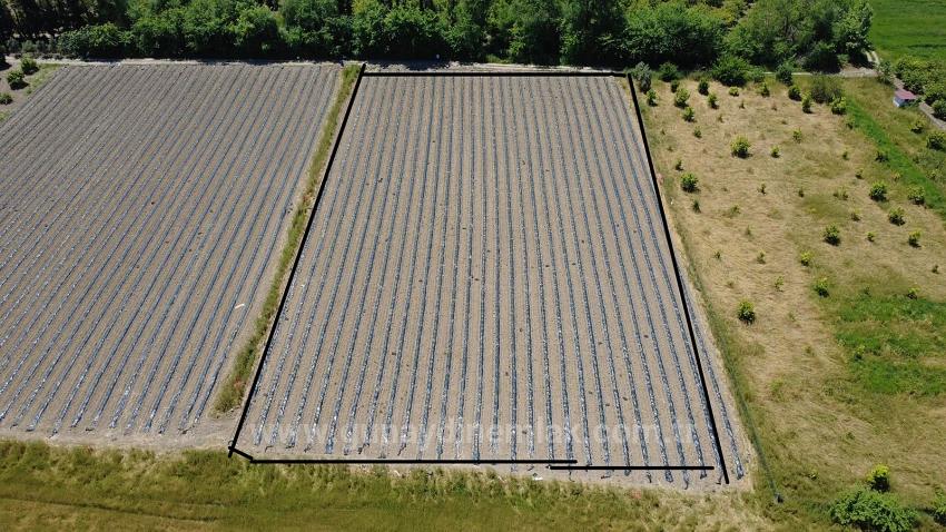 Landwirtschaftliche Fläche Zum Verkauf Im Ortaca Fevziye Viertel, 6006 M², Mit Einer Einzigen Eigentumsurkunde.