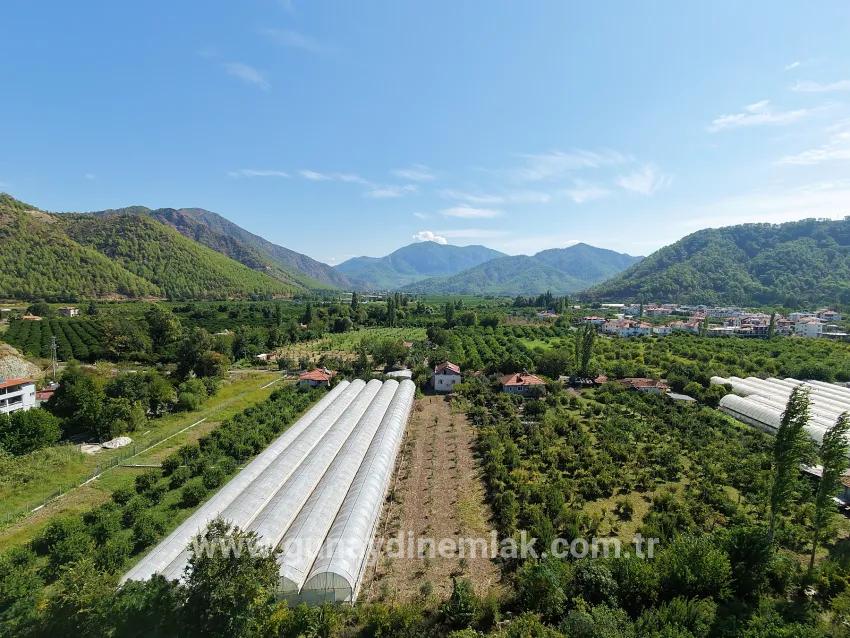 Feld Zu verkaufen in Çaylı Bz. Ortaca - Feld-Zonierung - 1.870 m²