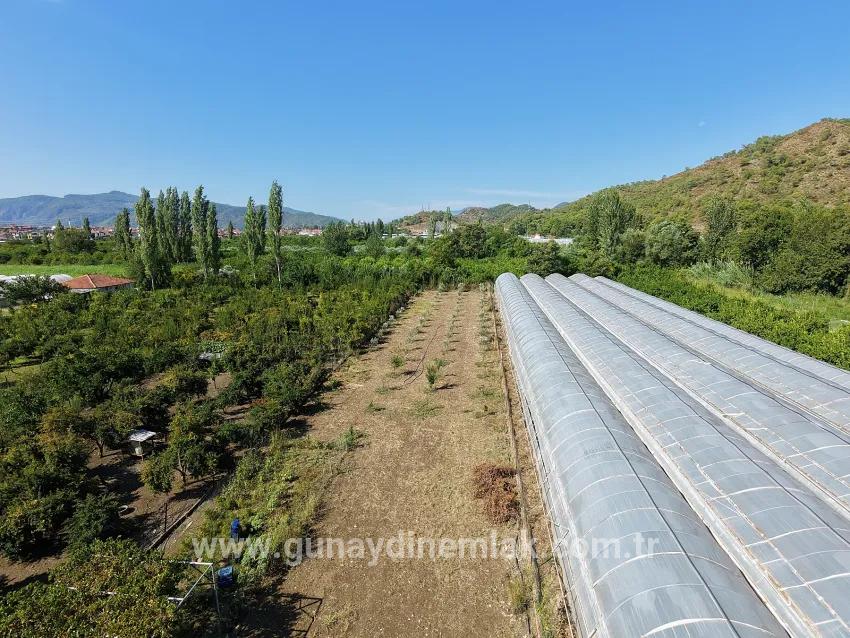 Feld Zu verkaufen in Çaylı Bz. Ortaca - Feld-Zonierung - 1.870 m²