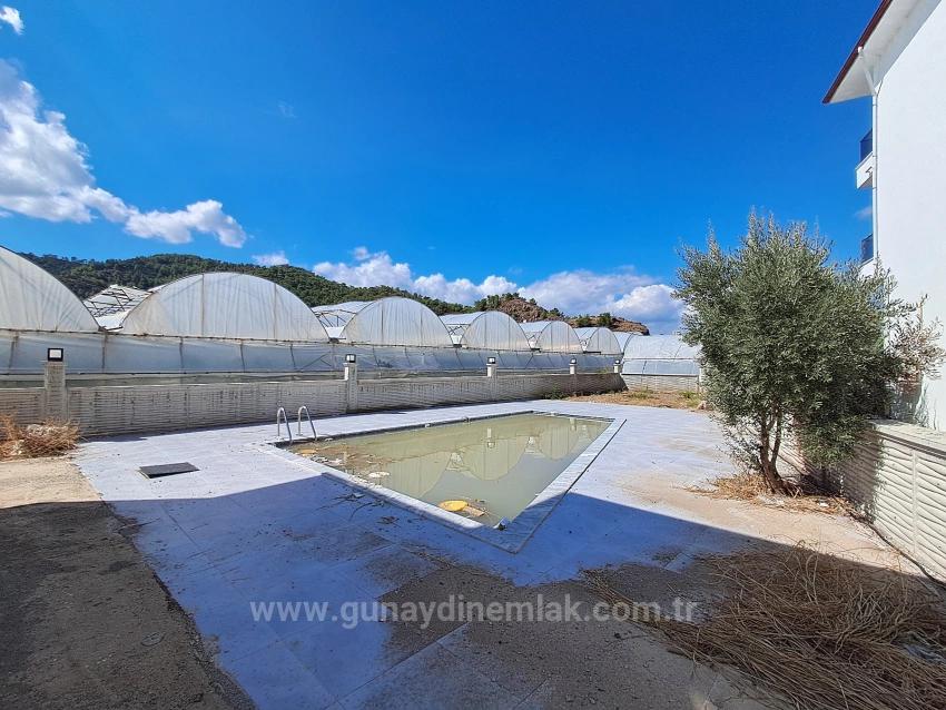 Brandneue 1+1-Wohnung Mit Swimmingpool In Ortaca Karaburun Zu Verkaufen