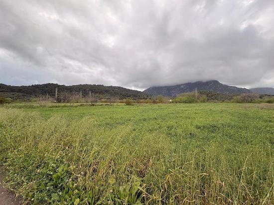 7.088 M² Großes Gemeinschaftsgrundstück Zum Verkauf Im Stadtteil Mergenli, Ortaca, Muğla.