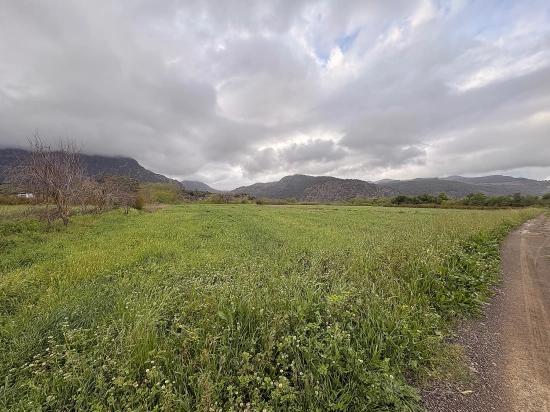 7.088 M² Großes Gemeinschaftsgrundstück Zum Verkauf Im Stadtteil Mergenli, Ortaca, Muğla.