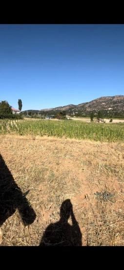 993 M² Grundstück Mit Einzeltitelurkunde Zum Verkauf In Denizli Çameli Kalınkoz