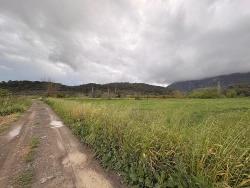 Feld Zu Verkaufen in Mergenli Bz. Ortaca - Feld-Zonierung - 7.088 m²