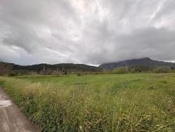 Feld Zu Verkaufen in Mergenli Bz. Ortaca - Feld-Zonierung - 7.088 m²