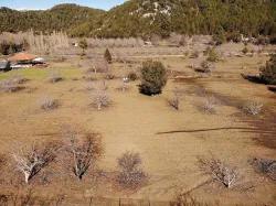Feld Zu Verkaufen in Çayhisar Bz. Köyceğiz - Feld-Zonierung - 1.100 m²