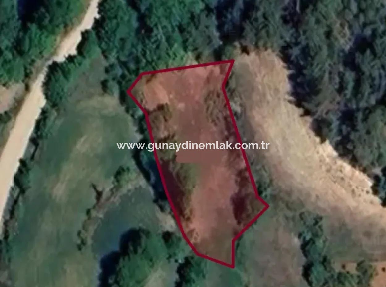 994 M2 Einzeltitel-Urkunde Garten Zum Verkauf In Denizli Tavasta