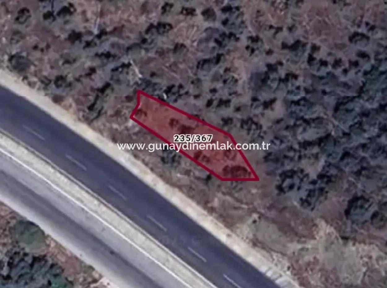 Muğla Milas Bafa Da 271 M² Einzeltitelurkunde Olivenhain
