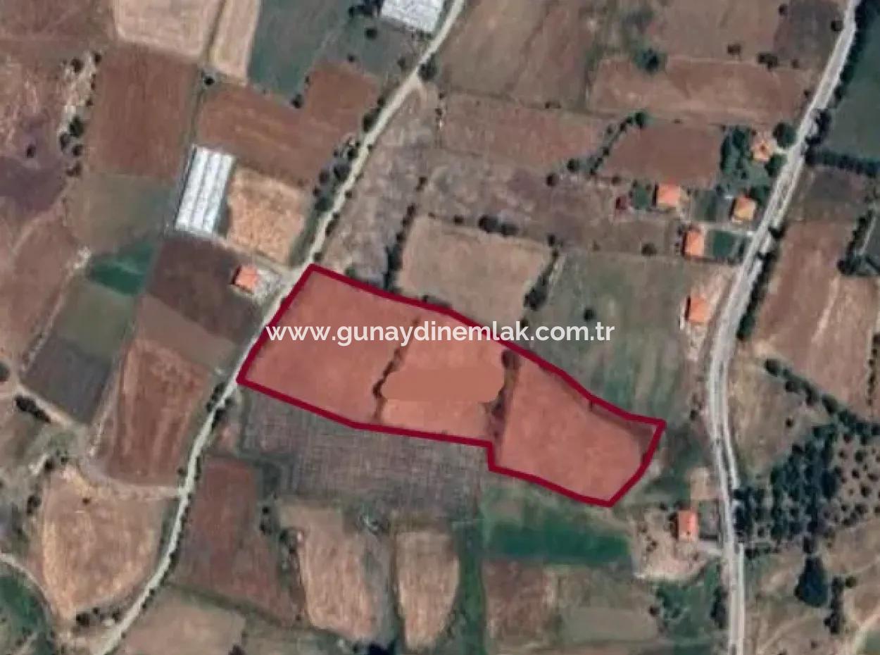9.103 M² Einzeltitelfeld In Seydikemer Doğanlar