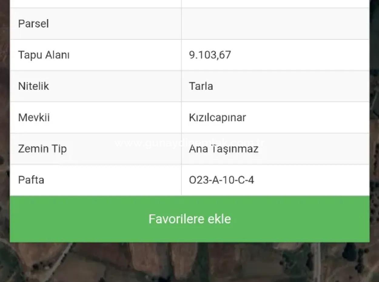 9.103 M² Einzeltitelfeld In Seydikemer Doğanlar