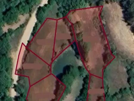 994 M2 Einzeltitel-Urkunde Garten Zum Verkauf In Denizli Tavasta