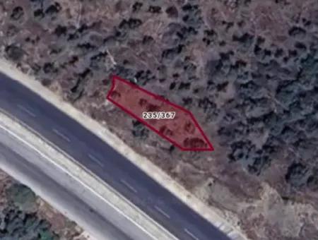Muğla Milas Bafa Da 271 M² Einzeltitelurkunde Olivenhain