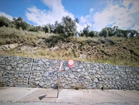 Muğla Milas Bafa Da 271 M² Einzeltitelurkunde Olivenhain