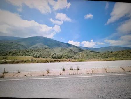 Muğla Milas Bafa Da 271 M² Einzeltitelurkunde Olivenhain