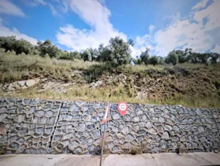 Muğla Milas Bafa Da 271 M² Einzeltitelurkunde Olivenhain