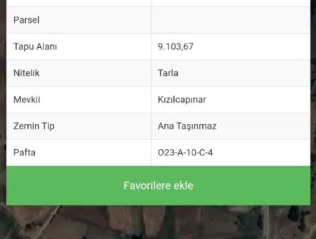 9.103 M² Einzeltitelfeld In Seydikemer Doğanlar