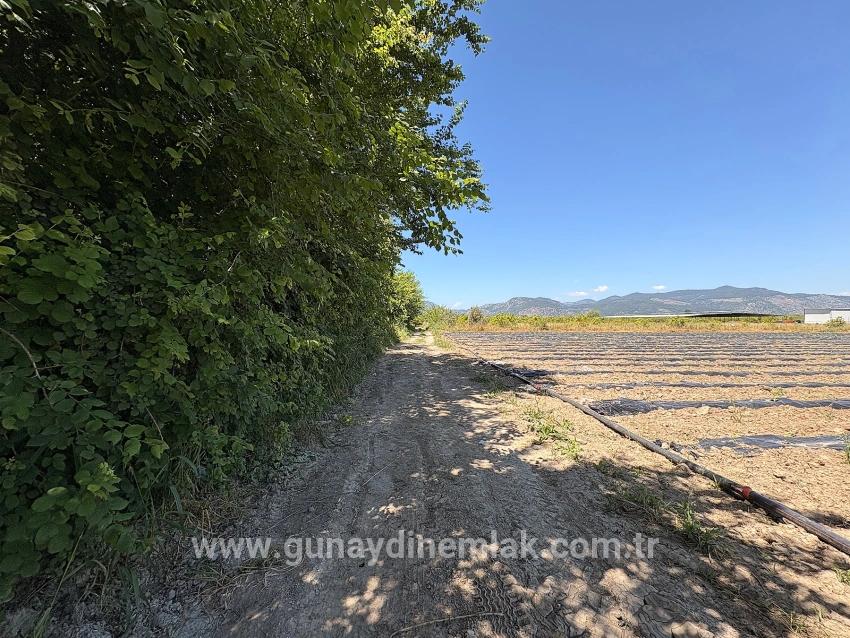 Feld Zu Verkaufen in Fevziye Bz. Ortaca - Feld-Zonierung - 6.006 m²
