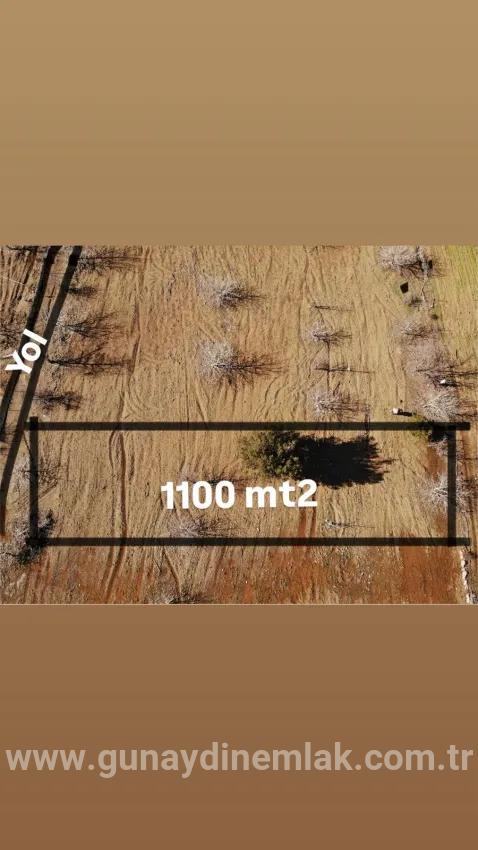 Feld Zu Verkaufen in Çayhisar Bz. Köyceğiz - Feld-Zonierung - 1.100 m²