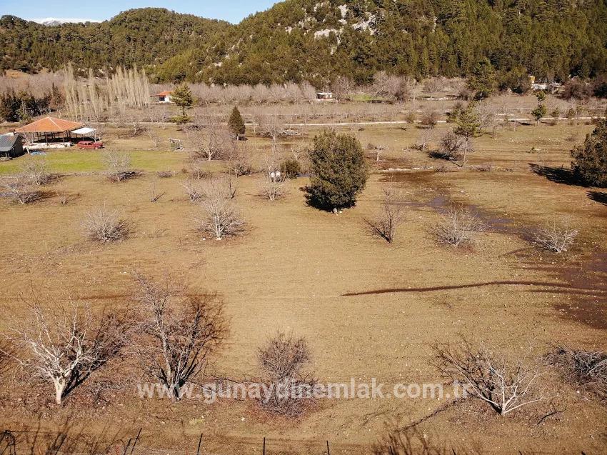 Feld Zu Verkaufen in Çayhisar Bz. Köyceğiz - Feld-Zonierung - 1.100 m²