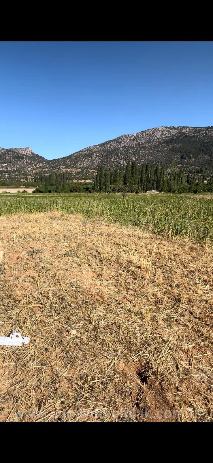 993 M² Single Title Deed Field For Sale In Denizli Çameli