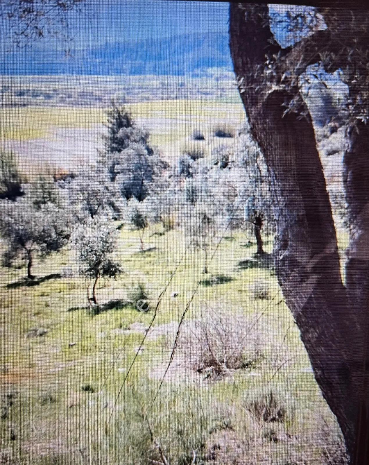 6,334 M2 Plot Of Land For Sale With A Single Title Deed In Demirler Neighborhood, Seydikemer.