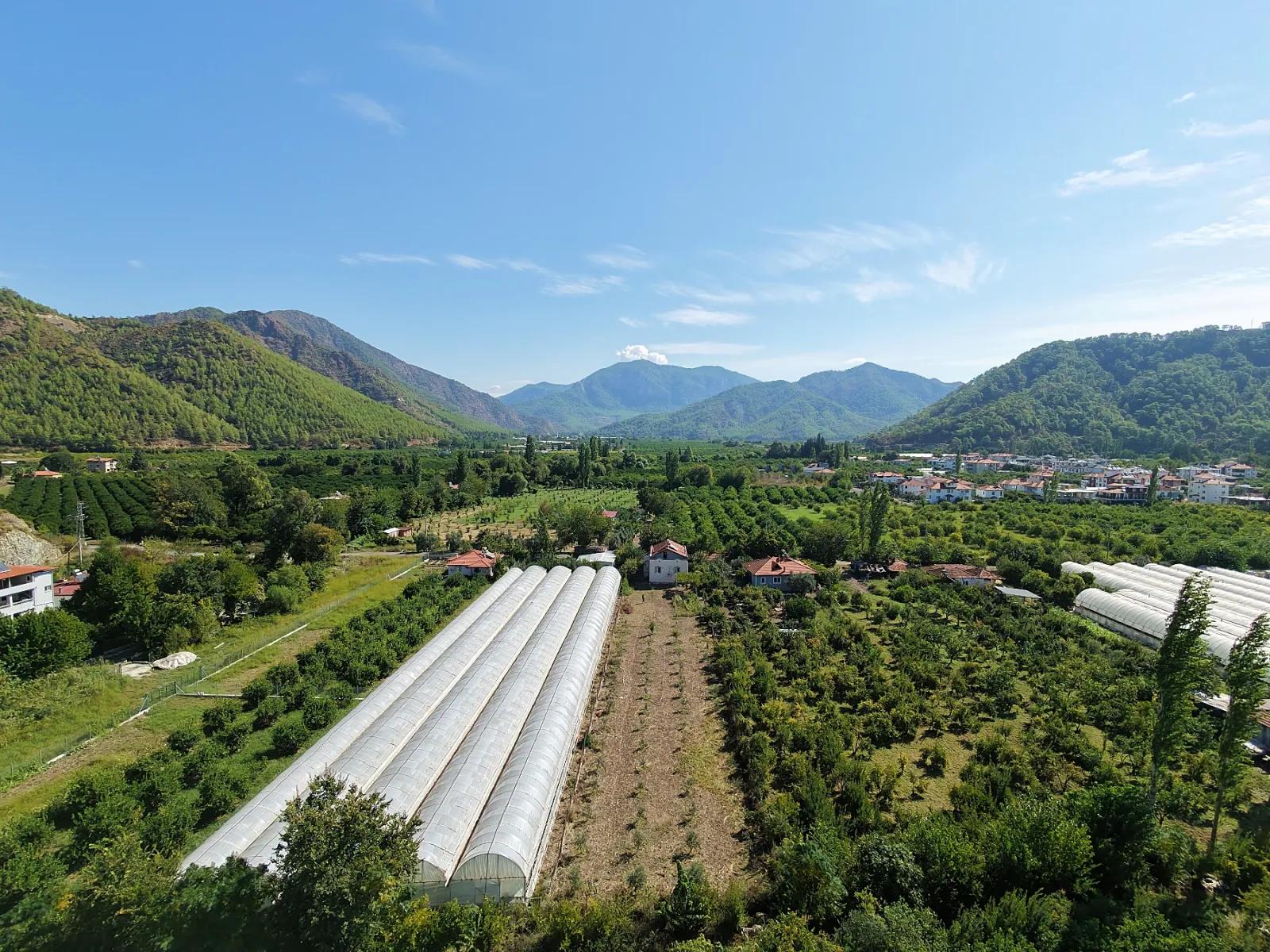 Field of 1.870 M2 for sale In Ortaca Çaylı, electricity and water available