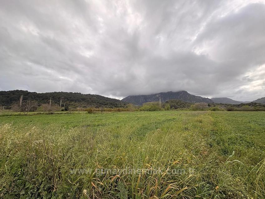 Field For sale in Mergenli Nbh. Ortaca - Field Zoned - 7.088 m²