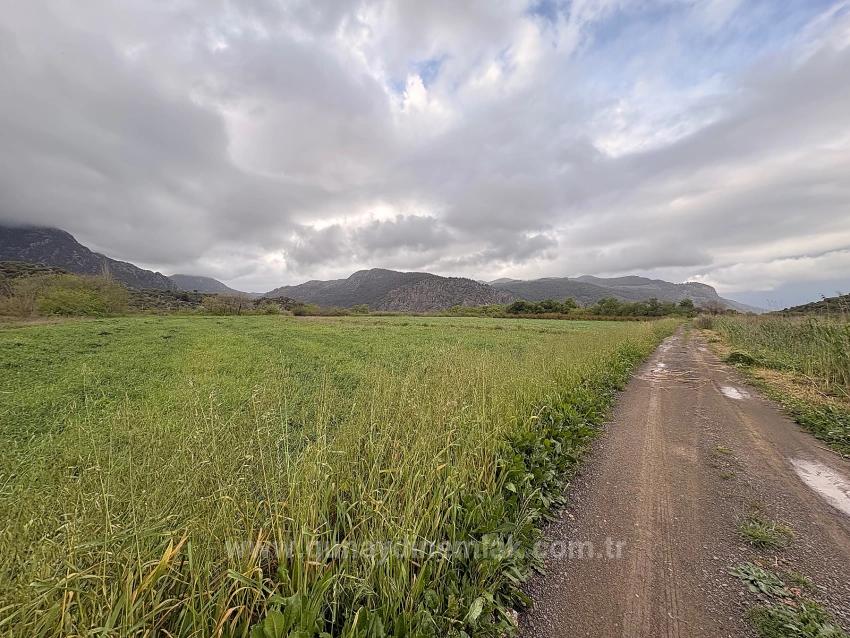 7,088 M2 Shared Land For Sale In Mergenli Neighborhood, Ortaca, Muğla.