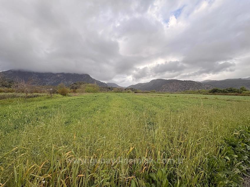 7,088 M2 Shared Land For Sale In Mergenli Neighborhood, Ortaca, Muğla.