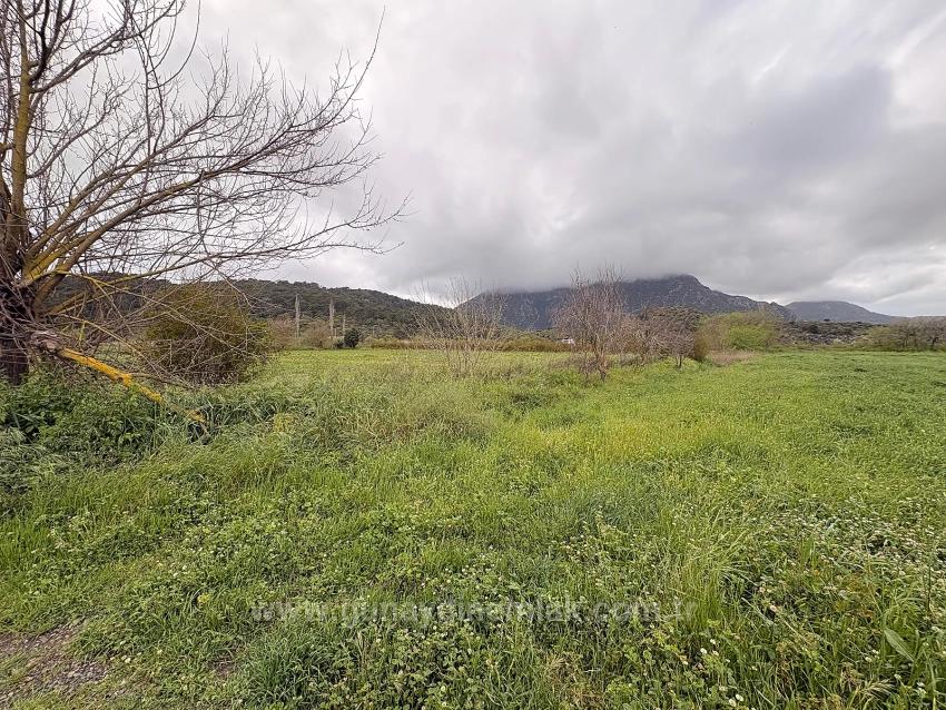 Field For sale in Mergenli Nbh. Ortaca - Field Zoned - 7.088 m²