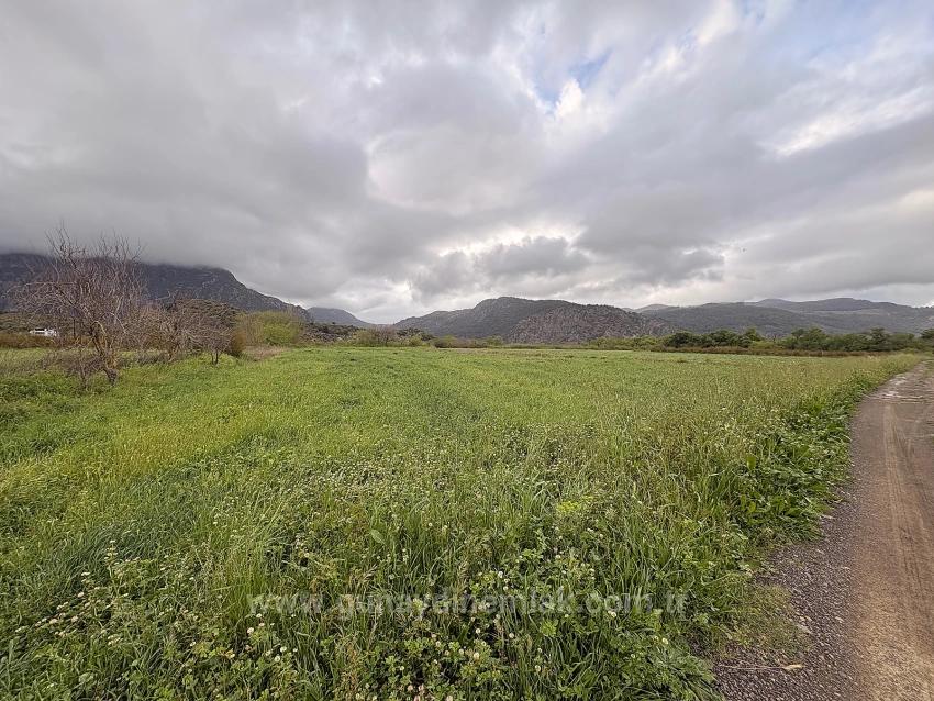 7,088 M2 Shared Land For Sale In Mergenli Neighborhood, Ortaca, Muğla.