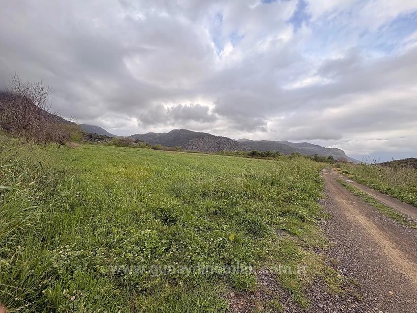 7,088 M2 Shared Land For Sale In Mergenli Neighborhood, Ortaca, Muğla.