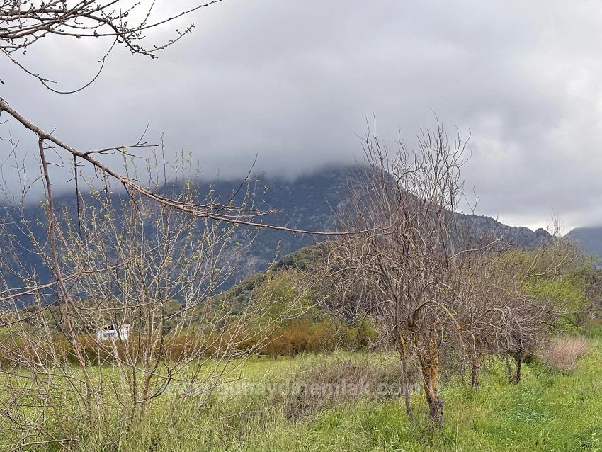 7,088 M2 Shared Land For Sale In Mergenli Neighborhood, Ortaca, Muğla.