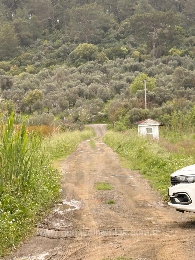7,088 M2 Shared Land For Sale In Mergenli Neighborhood, Ortaca, Muğla.