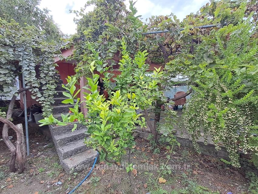 302 M2 Single Title Deed Plot For Sale In Dalaman Hürriyet