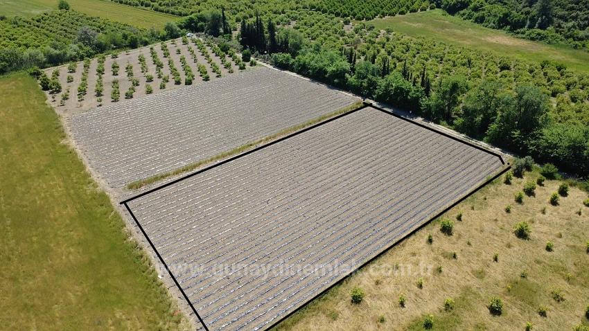 Field For Sale in Fevziye Nbh. Ortaca - Field Zoned - 6.006 m²