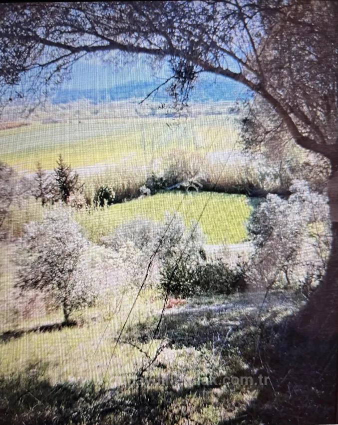 6,334 M2 Plot Of Land For Sale With A Single Title Deed In Demirler Neighborhood, Seydikemer.