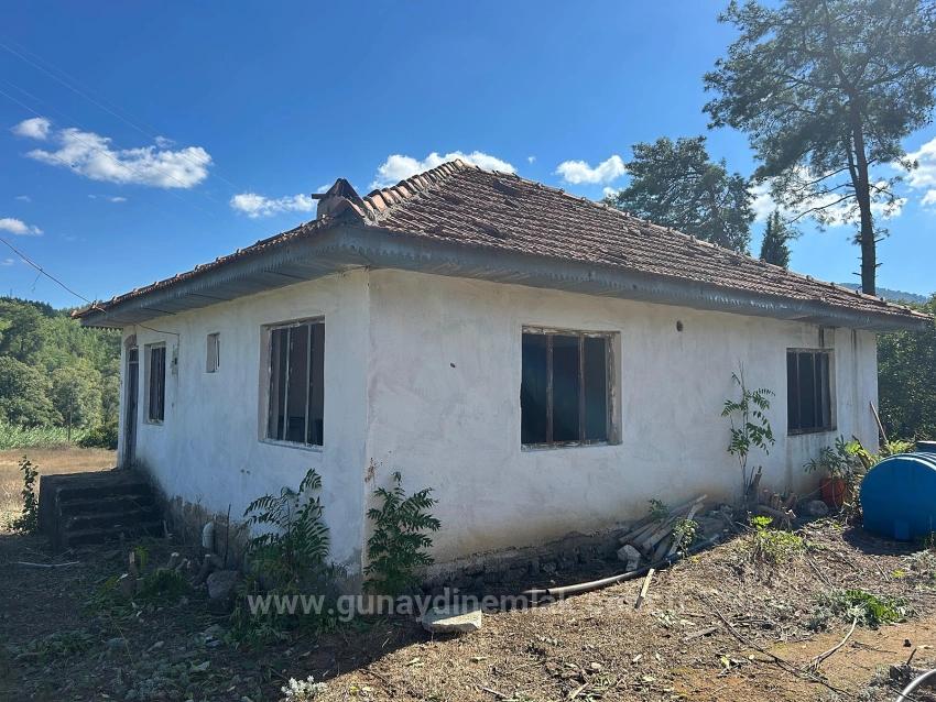 1675 M² Shared Field For Sale In Köyceğiz Pınarköy