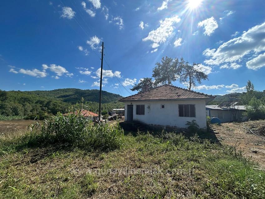 1675 M² Shared Field For Sale In Köyceğiz Pınarköy