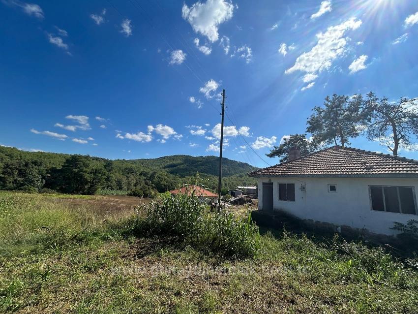 1675 M² Shared Field For Sale In Köyceğiz Pınarköy