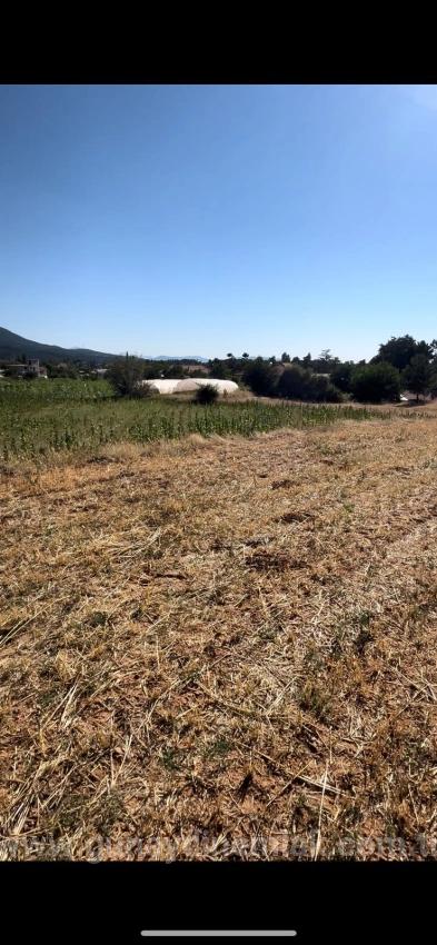 993 M² Single Title Deed Field For Sale In Denizli Çameli Kalınkoz