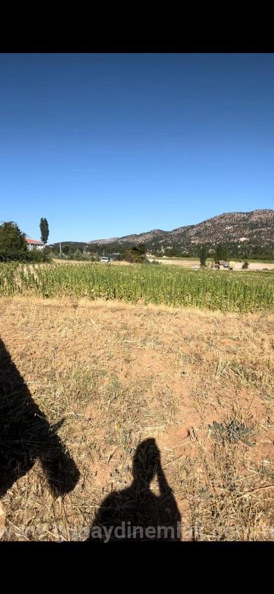 993 M² Single Title Deed Field For Sale In Denizli Çameli Kalınkoz