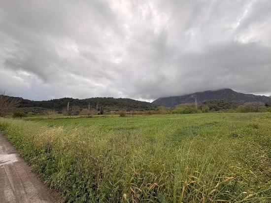7,088 M2 Shared Land For Sale In Mergenli Neighborhood, Ortaca, Muğla.