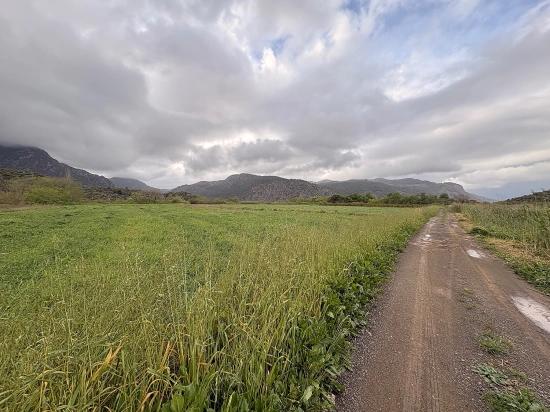 7,088 M2 Shared Land For Sale In Mergenli Neighborhood, Ortaca, Muğla.