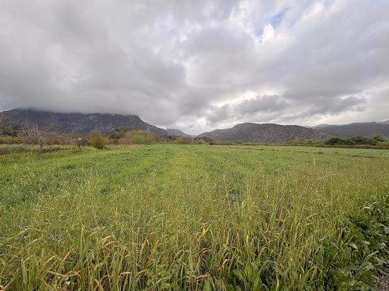 7,088 M2 Shared Land For Sale In Mergenli Neighborhood, Ortaca, Muğla.