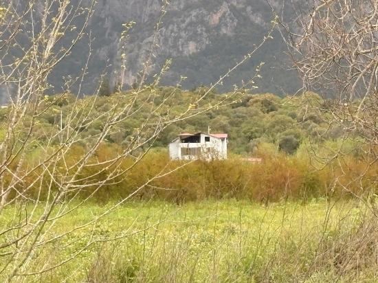 7,088 M2 Shared Land For Sale In Mergenli Neighborhood, Ortaca, Muğla.