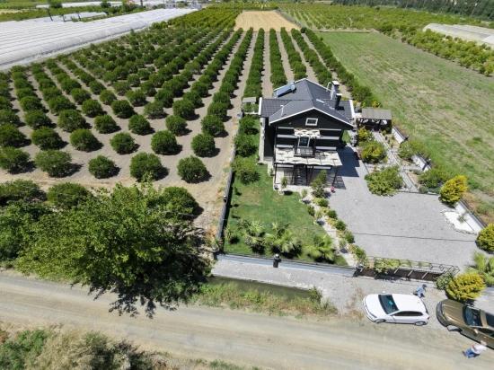 Farmhouse And Land For Sale In Dalyan Eskiköy, 14 Acres