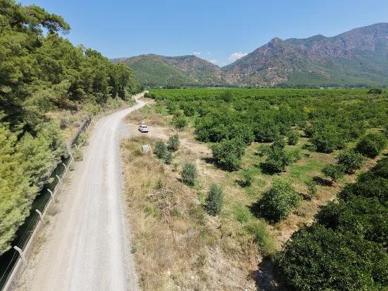 Location Ortaca Çaylı'da For Sale 1,636 M2 Field - Single Deed